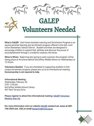 GALEP Volunteers Needed Flyer - Eng.